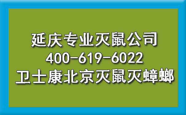 延庆专业灭鼠公司400-619-6022欧博游戏北京灭鼠灭蟑螂