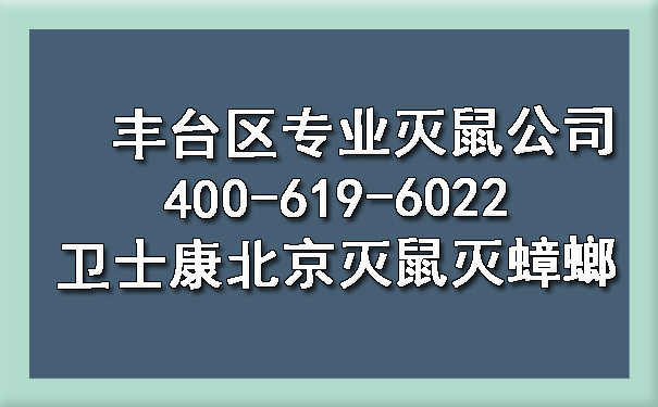 丰台区专业灭鼠公司400-619-6022欧博游戏北京灭鼠灭蟑螂