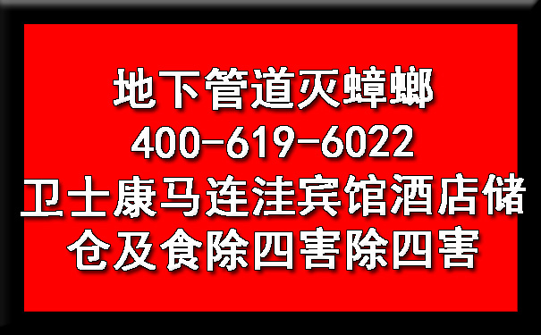 地下管道灭蟑螂400-619-6022欧博游戏马连洼宾馆旅馆储仓及食除四害